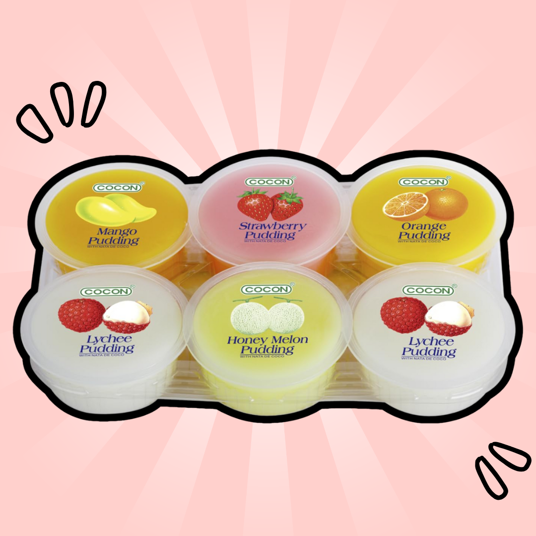1x Pudding Nata de Coco – Fruchtiger Kokosnuss-Pudding mit Nata-de-Coco-Stückchen (1x480g)