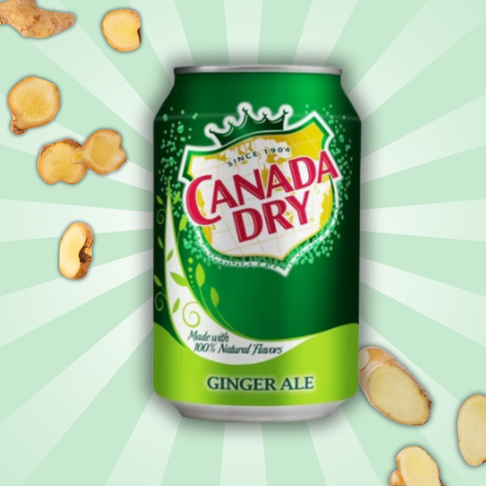 1x Canada Dry Ginger Ale | Erfrischendes Ingwer-Softgetränk | 1x355 ml