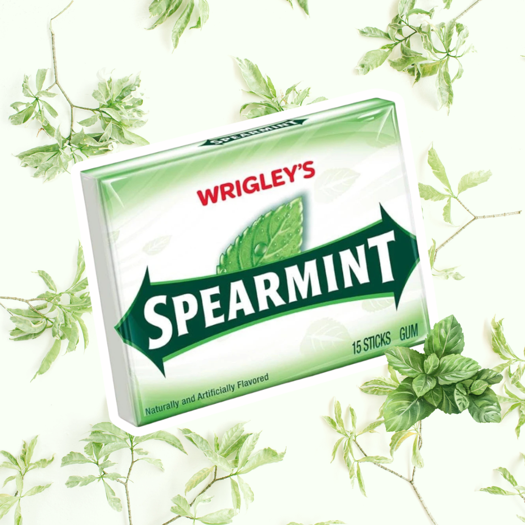 1x Wrigley’s Spearmint Chewing Gum – 15 Sticks – 1 Packung