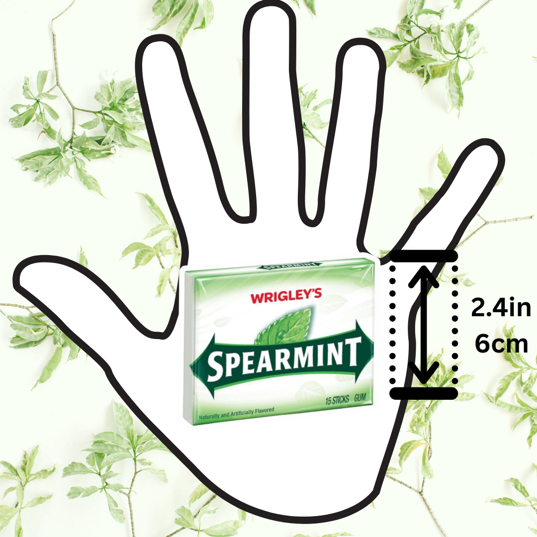 1x Wrigley’s Spearmint Chewing Gum – 15 Sticks – 1 Packung